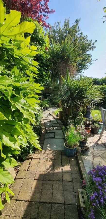 124 ,Castlelawn Heights, Headford Road Galway Homestay Zewnętrze zdjęcie